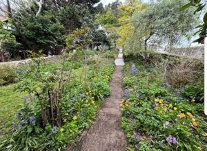 Photo 20- click for photo gallery